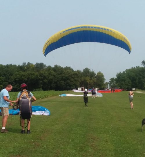 WhatsApp Image 2019-01-10 at 10.52.54 AM